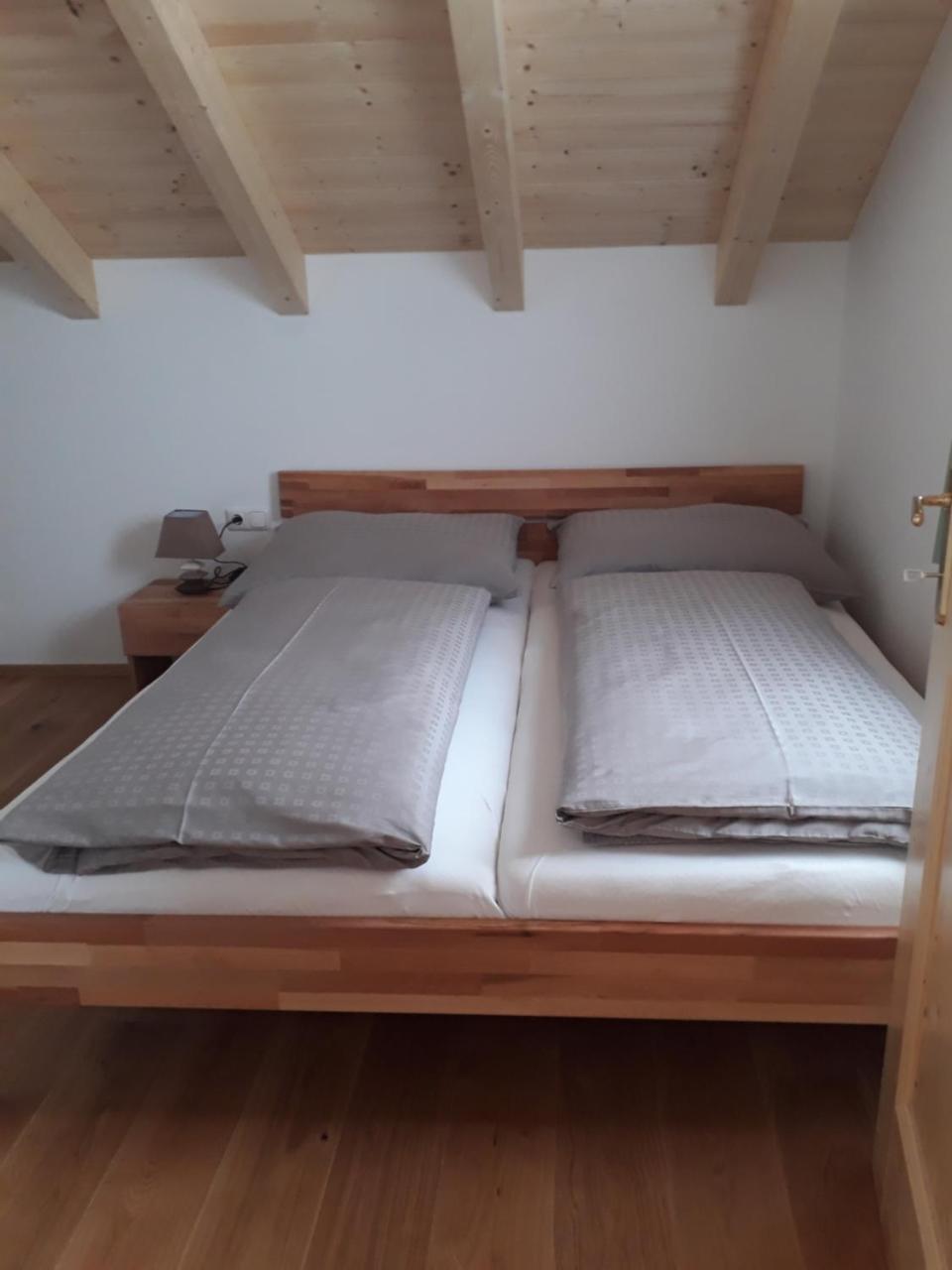 Ferienwohnung Lisa Bad Mitterndorf Exterior photo